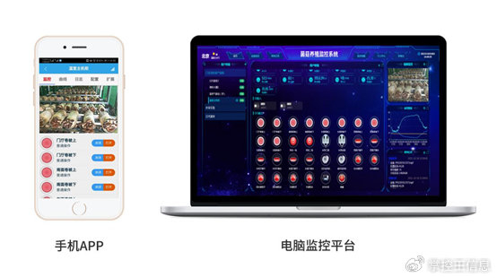智慧農(nóng)業(yè)新篇章 菌菇智能溫室管理系統(tǒng)，開(kāi)啟精準(zhǔn)高效種植新時(shí)代