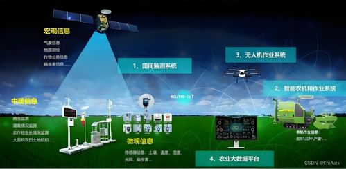 現代農業AI智能化升級之路 機器學習現狀與未來展望